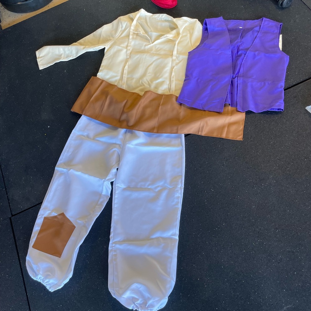 Mens Aladdin costume